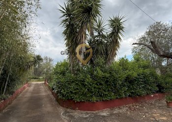 Foto 11 - Villa Contrada Specchia, Latiano - foto 11