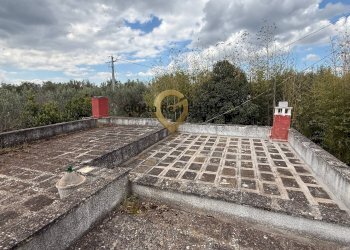 Foto 18 - Villa Contrada Specchia, Latiano - foto 18