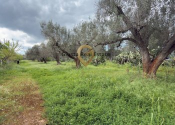 Foto 19 - Villa Contrada Specchia, Latiano - foto 19