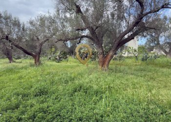 Foto 21 - Villa Contrada Specchia, Latiano - foto 21