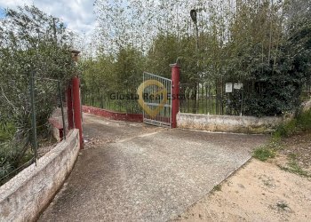 Foto 22 - Villa Contrada Specchia, Latiano - foto 22