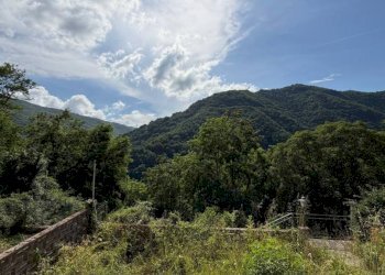 Vista - Villa Bargagli - photo 21