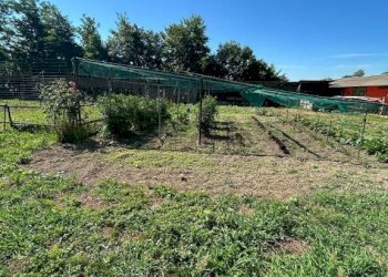 Terreno - Villa via Baudenile, 65, Leini - foto 34