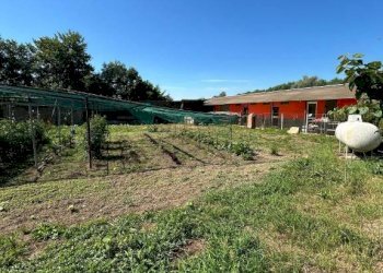Terreno - Villa via Baudenile, 65, Leini - foto 27