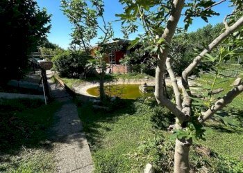 Giardino - Villa via Baudenile, 65, Leini - foto 37