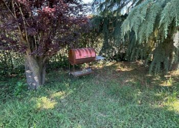 Giardino - Villa via Baudenile, 65, Leini - foto 40