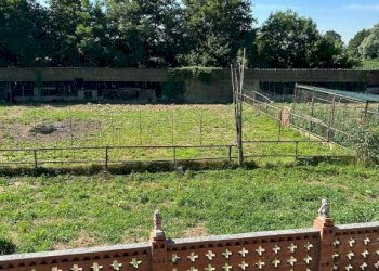 Terreno - Villa via Baudenile, 65, Leini - foto 46