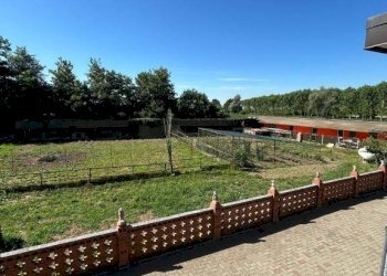 Cortile interno - Villa via Baudenile, 65, Leini - foto 50