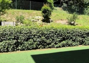 Giardino - Three-room apartment via Cava Marna, 10, Monguzzo - photo 3