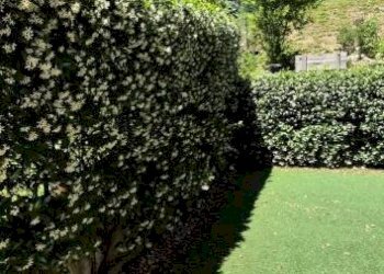 Giardino - Three-room apartment via Cava Marna, 10, Monguzzo - photo 4