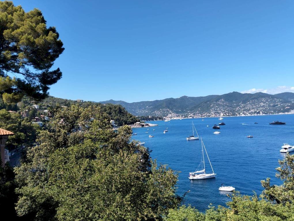 Vista - Villa Santa Margherita Ligure - foto 2