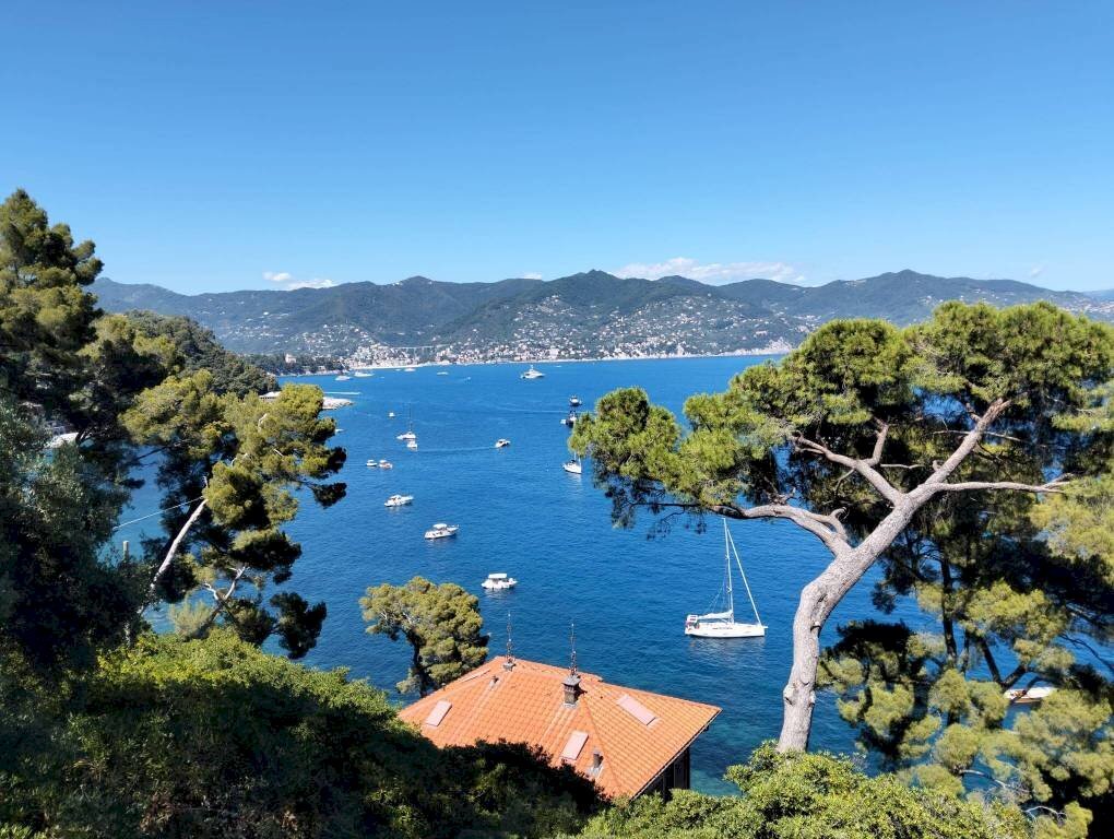Vista - Villa Santa Margherita Ligure - foto 3