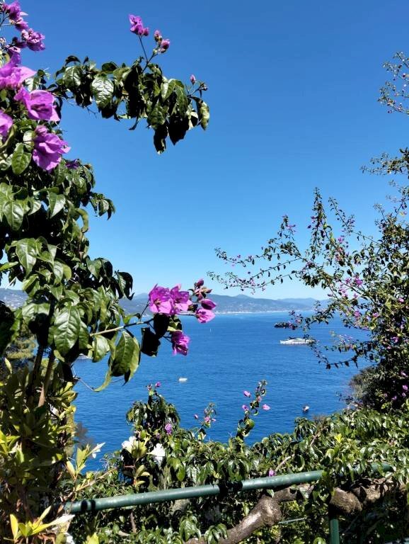 Vista - Villa Santa Margherita Ligure - photo 3