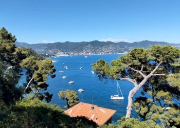 Vista - Villa Santa Margherita Ligure - foto 3
