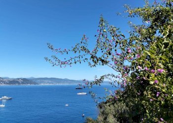 Vista - Villa Santa Margherita Ligure - foto 2