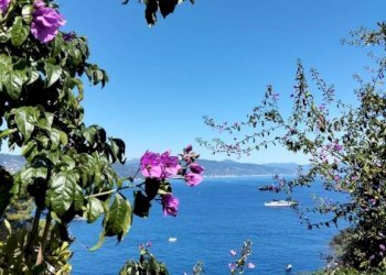 Vista - Villa Santa Margherita Ligure - foto 3