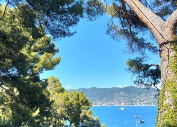Vista - Villa Santa Margherita Ligure - foto 4