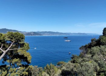 Vista - Villa Santa Margherita Ligure - foto 7