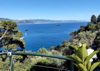 Vista - Villa Santa Margherita Ligure - foto 8