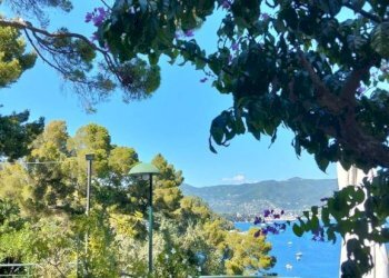 Terrazzo - Villa Santa Margherita Ligure - foto 9