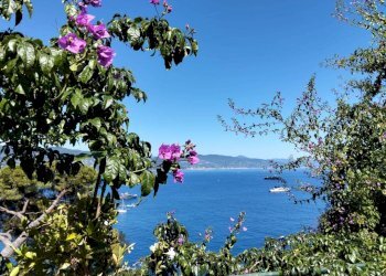 Vista - Villa Santa Margherita Ligure - foto 10