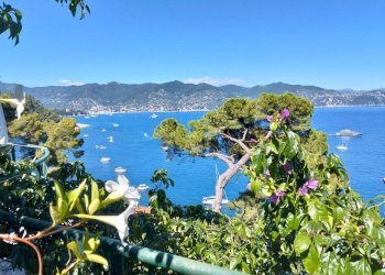 Vista - Villa Santa Margherita Ligure - foto 11
