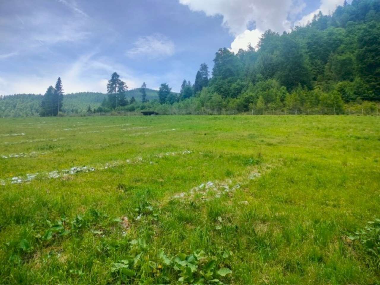 9dce3ec0-c97c-40b0-a1f9-d64b4266940b - Terreno agricolo Località Cinquevalli, Roncegno Terme - foto 2
