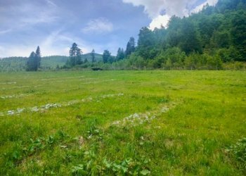 9dce3ec0-c97c-40b0-a1f9-d64b4266940b - Terreno agricolo Località Cinquevalli, Roncegno Terme - foto 2