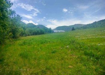 b1e5e341-949b-41b7-b6d6-4b3784ee6c79 - Terreno agricolo Località Cinquevalli, Roncegno Terme - foto 3