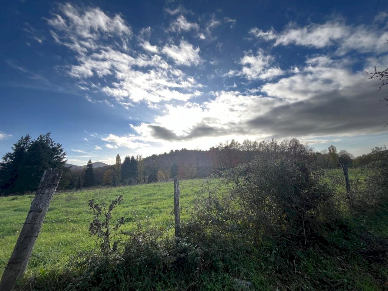 WhatsApp Image 2024-11-21 at 15.14.52 (3).jpeg - Agricultural land Via Anagnina 342, Grottaferrata - photo 2