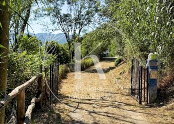 IMG_0187 2 - Villa Località Mezzano 22, Stella - photo 5