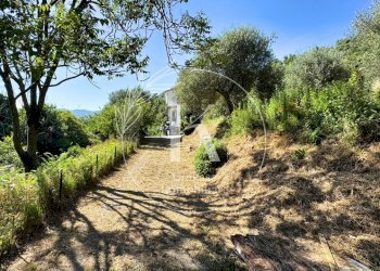 IMG_0182 2 - Villa Località Mezzano 22, Stella - photo 17