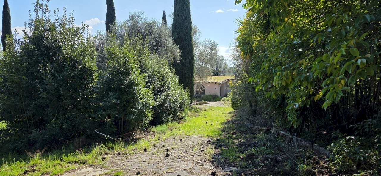 20260317_114654 - Terreno agricolo Via Enrico Fermi 13, Morlupo - foto 1