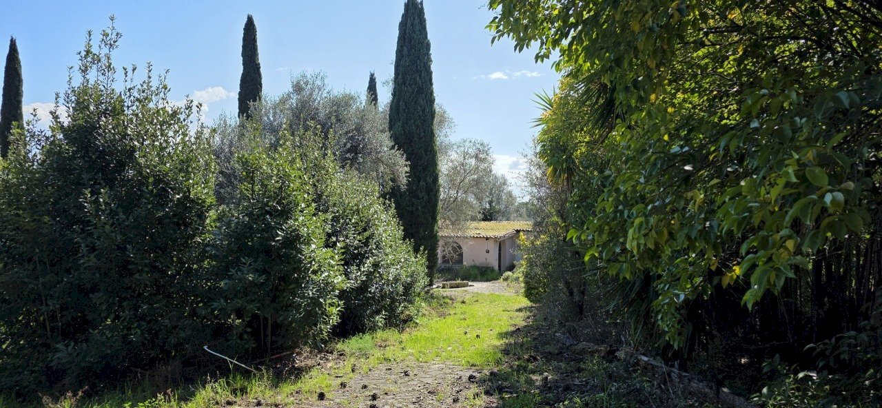 20260317_114657 - Terreno agricolo Via Enrico Fermi 13, Morlupo - foto 2