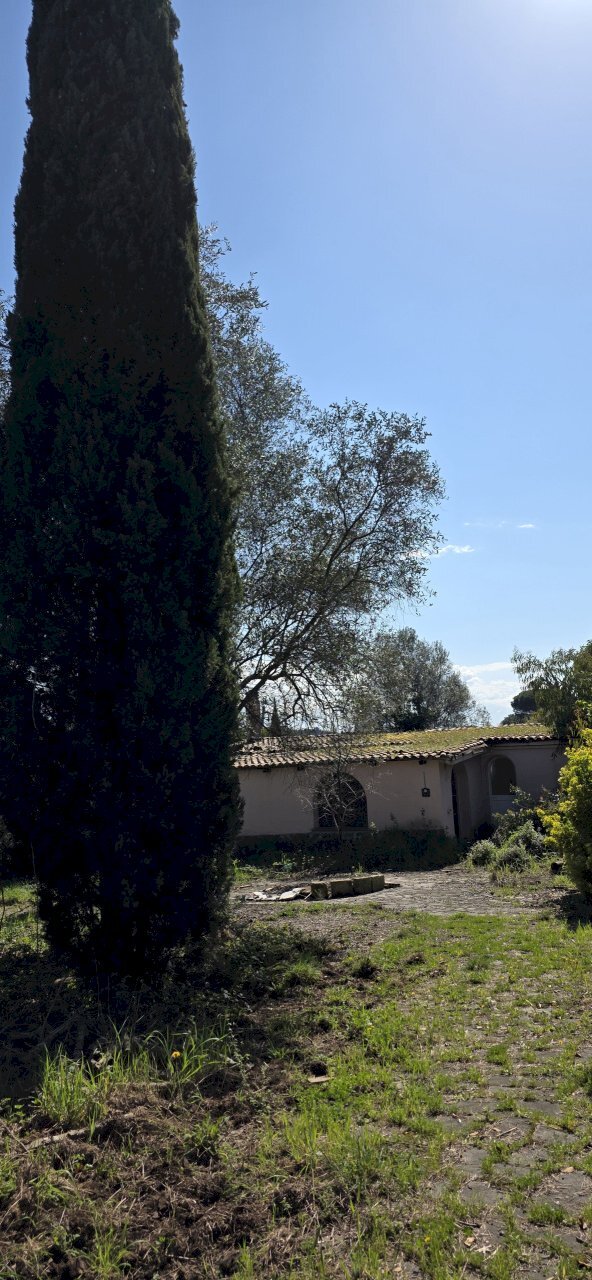 20260317_114730 - Terreno agricolo Via Enrico Fermi 13, Morlupo - foto 3