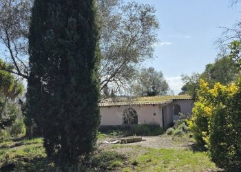 20260317_114737 - Terreno agricolo Via Enrico Fermi 13, Morlupo - foto 4