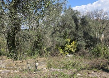 20260317_115244 - Terreno agricolo Via Enrico Fermi 13, Morlupo - foto 16