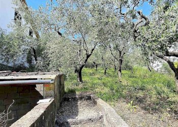 F_311118 - Villa Via Mario Tronci 17, Vaiano - photo 25