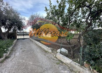 4cf4348f-b1e3-4702-ad4c-6c5454fb4d76 - Villa Via Franca Maria Gianni, Siracusa - photo 3