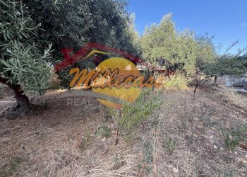 5213f56c-ae46-40f0-8faf-76ecc6805f1d - Villa Via Franca Maria Gianni, Siracusa - photo 11