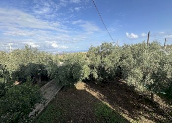 IMG_5821 2 - Villa Via Franca Maria Gianni, Siracusa - photo 26