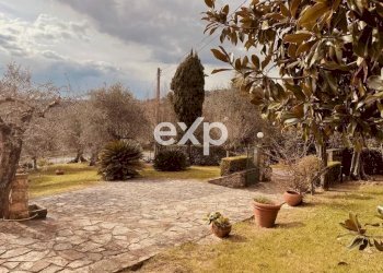 Villa Massarosa - foto 4