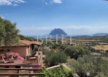 Villa Loiri Porto San Paolo - photo 3