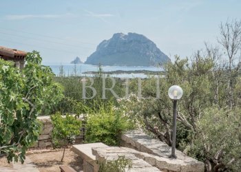 Villa Loiri Porto San Paolo - photo 41