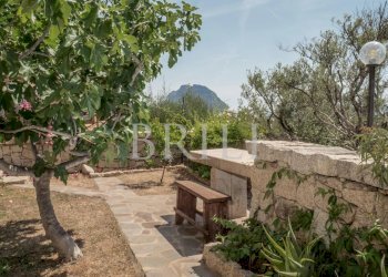 Villa Loiri Porto San Paolo - photo 44