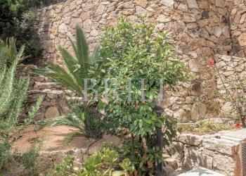 Villa Loiri Porto San Paolo - photo 56