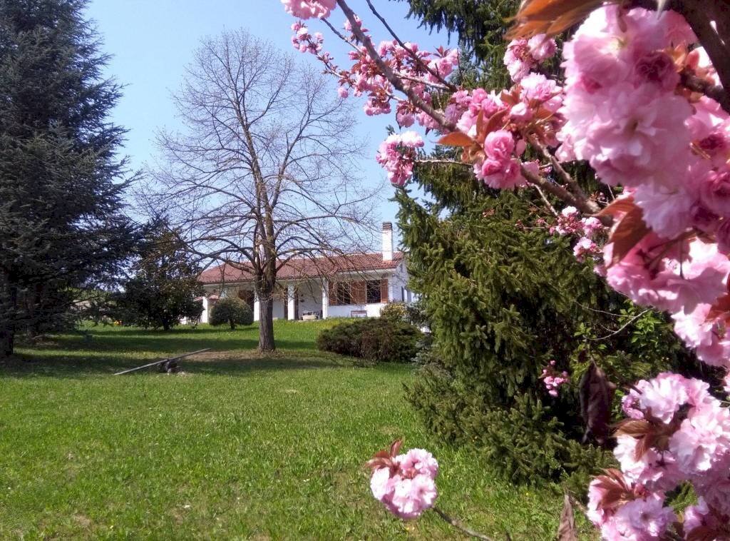 Villa strada Serra, Antignano - foto 1