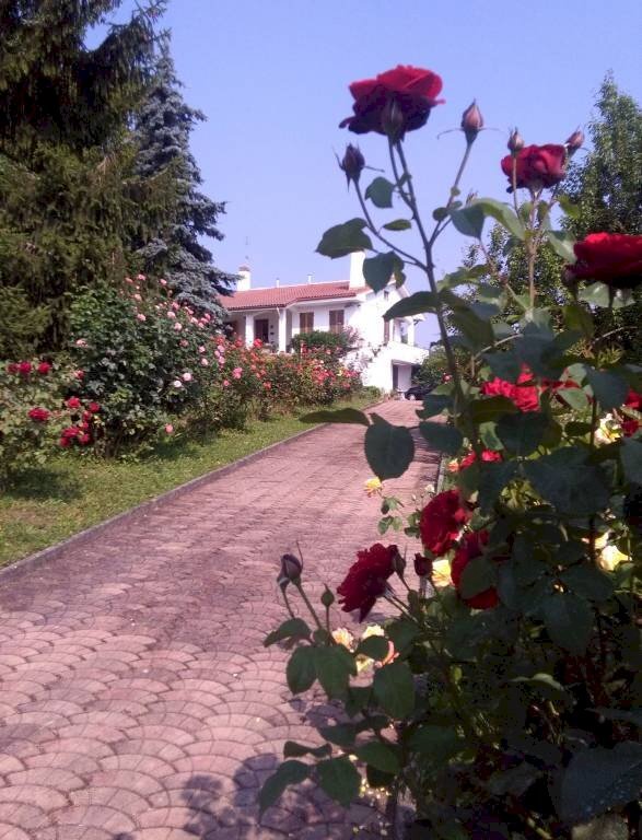 Villa strada Serra, Antignano - foto 2