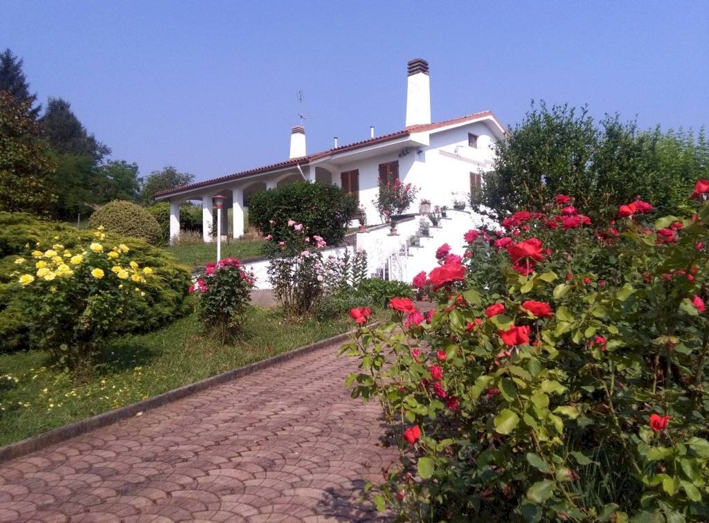 Villa strada Serra, Antignano - foto 3
