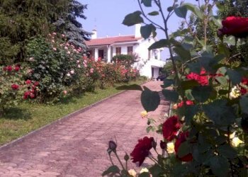 Villa strada Serra, Antignano - foto 2